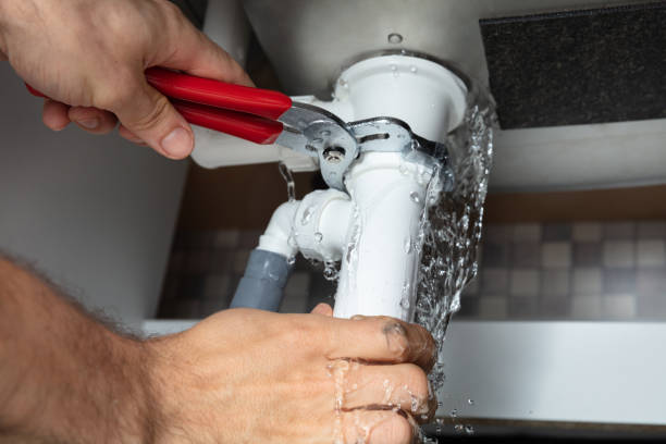 Best Local water damage restoration  in Mounds View, MN
