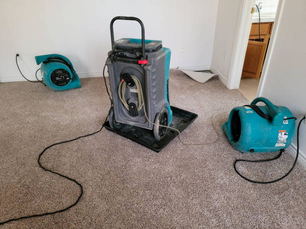 Best Commercial water damage restoration  in Mounds View, MN