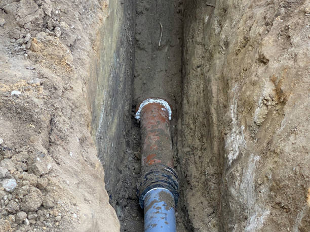 Best Basement water damage restoration  in Mounds View, MN