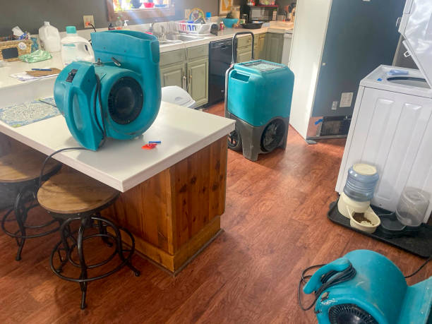 Best Professional water damage repair  in Mounds View, MN