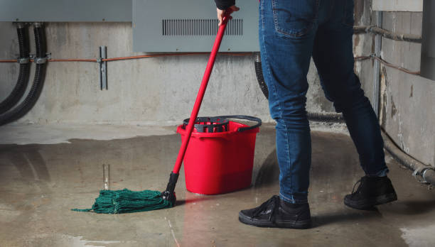 Best 24-hour water damage restoration  in Mounds View, MN