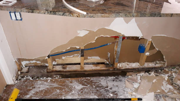 Best Flood restoration services  in Mounds View, MN