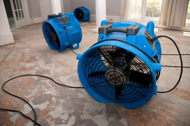 Best Carpet water damage restoration  in Mounds View, MN
