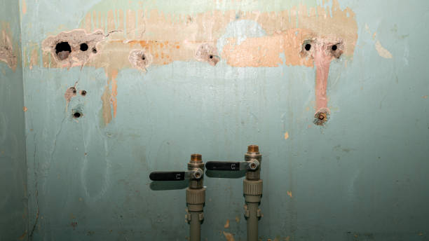 Reliable Mounds View, MN Water damage restoration Solutions