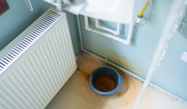 Best 24-hour water damage restoration  in Mounds View, MN