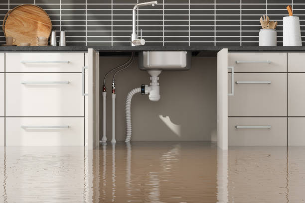 Local water damage restoration in Mounds View, MN