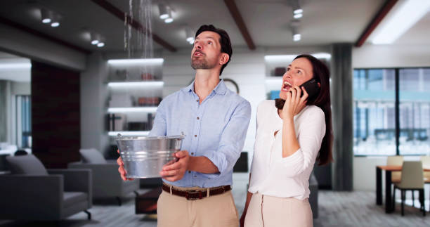 Best Mold removal after water damage  in Mounds View, MN