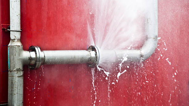 Best Flood damage cleanup  in Mounds View, MN